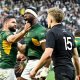 Springbok Player Ratings | RGR Test 2
