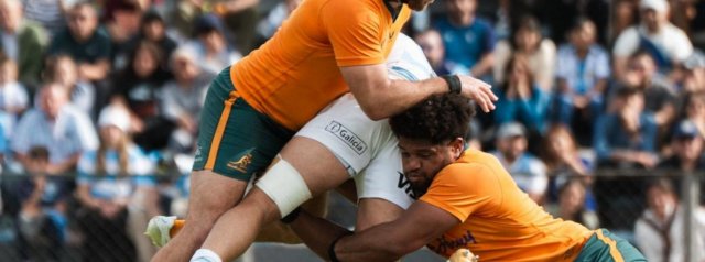 Wallabies dig deep to deliver dogged win over determined Argentina in Jujuy