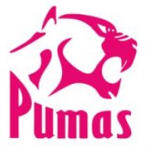 Stephan Krugel Pumas