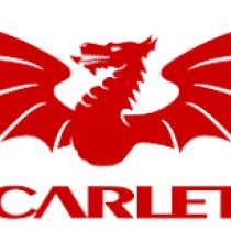 Corey Domachowski Scarlets
