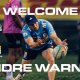 Warner joins DHL Stormers on loan from Seawolves