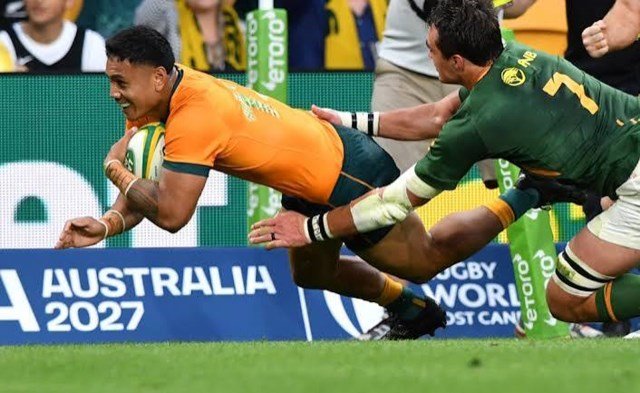 Wallabies v Springboks | Top Performers