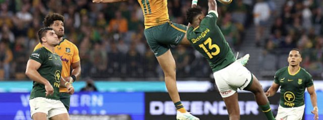 Wallabies v Springboks | Talking Points