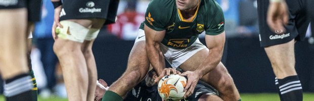 Springboks1