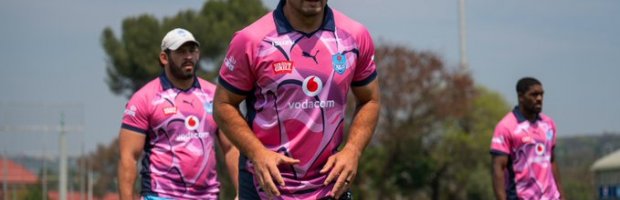 Bulls in Pink