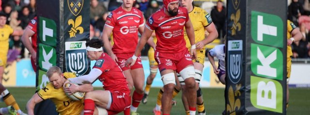 URC Preview | Dragons v Scarlets