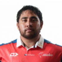 Lavengamonu Moli Tasman Mako