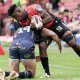 South African Starlet Enjoys Remarkable Rise