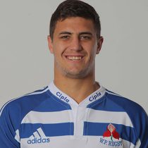 Gerbrandt Grobler Western Province