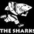 Matt Stevens Cell C Sharks