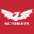 Ellis Lloyd Scarlets