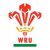 Rory Thornton Wales U20's