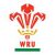Owen Watkin Wales U20's