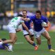 Meet Le Roux Malan: The Man Who Rebuilt His Career After Horror Injury